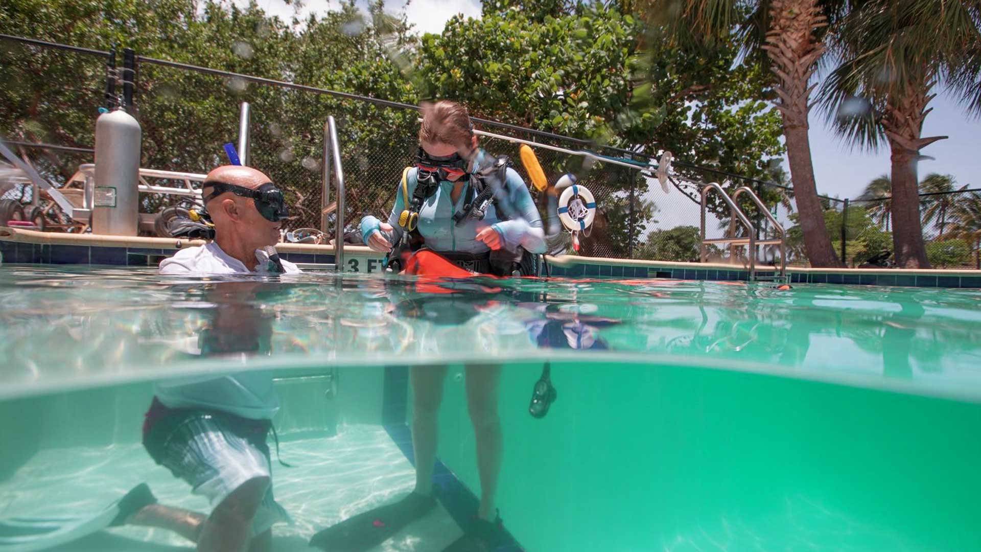 Diver's Paradise Professional Institute — Key Biscayne, Florida